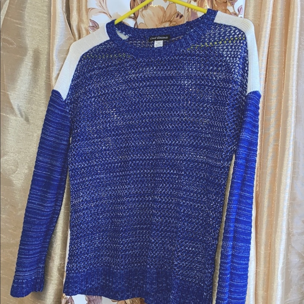 Blue See Through Sweater